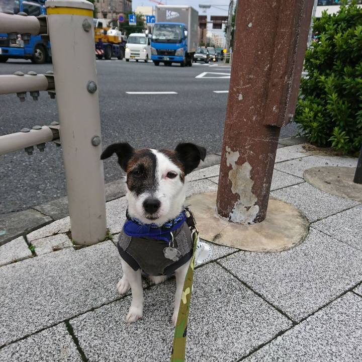 62e1f177 64a2 4552 9b6a 8467b7c32113 1508796286357