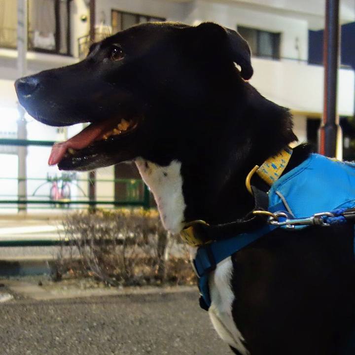 62e211e8 1aed 4fd2 8e7b a1ad9ed83f87 1632479988270