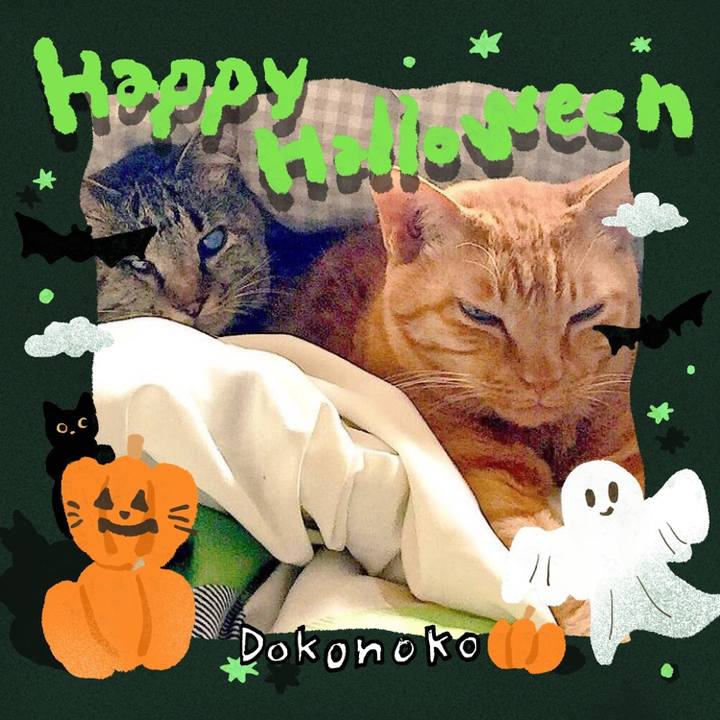 62e21d21 e7cd 4863 bfac 7dbcaa1c04f6 1729325150483