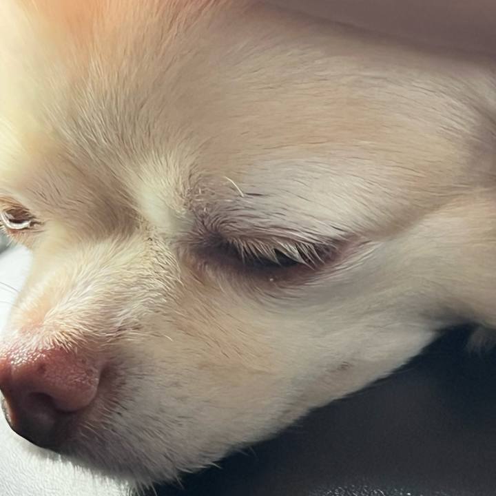 62e21e79 9664 48d4 a85e cd4572b5567f 1724469878258