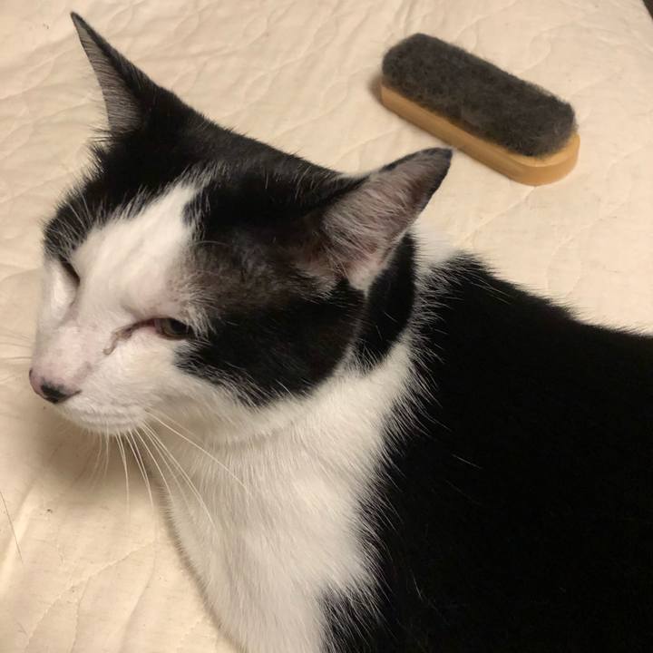 62e2212d 66ae 49cb 9b8f e1ec32d83a40 1567614948348