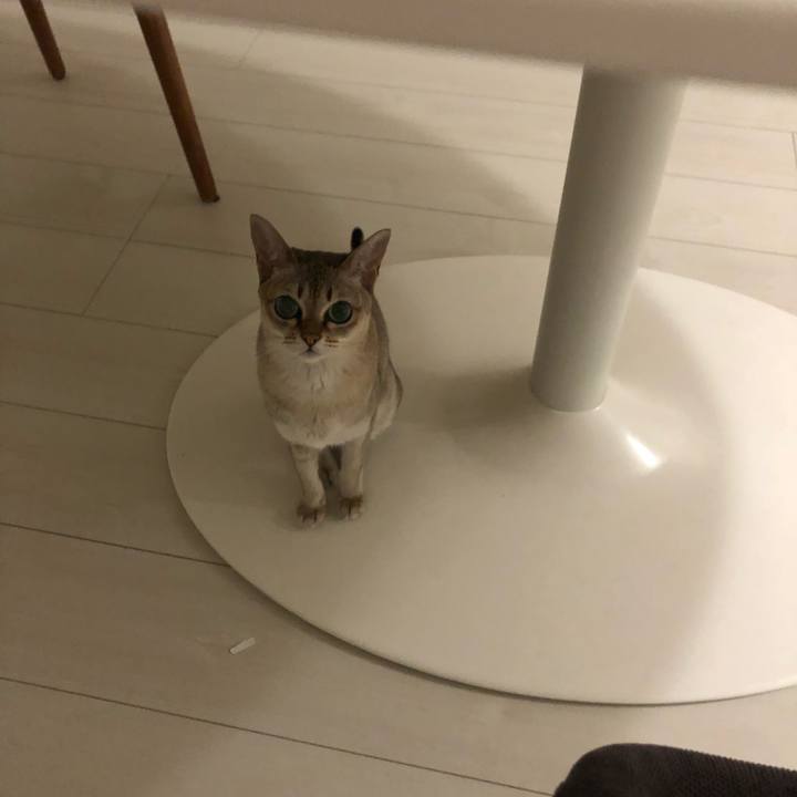 62e237a2 a1ec 44c1 a5a5 b37e94ad3e68 1534509953442