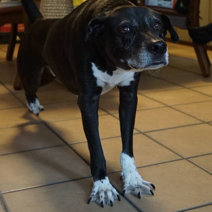 62e249d7 4dd3 4bbc b5a8 1fd8686b7066 1760834867065