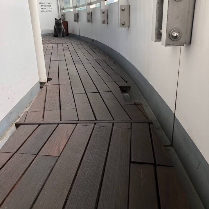 62e2e867 8a46 4ded b2d3 93911f6f6ac2 1517105079728