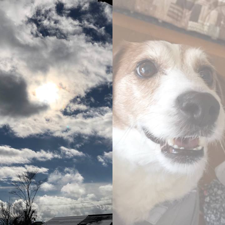 62e2f276 b604 4598 a048 ad71e29ac9d6 1512178666003