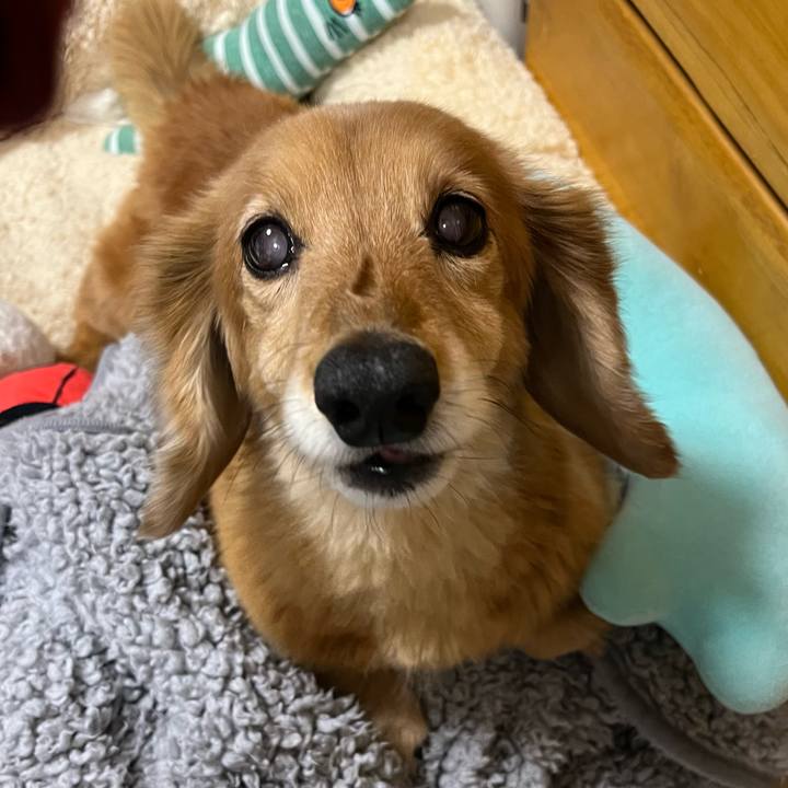 62e368f3 8bd3 47b4 8de6 12a11087603c 1644241402185