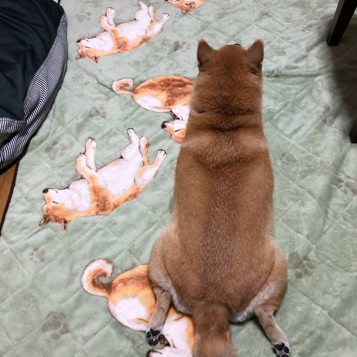 62e37bd2 8e27 4d10 a8ee 31511a1a9585 1572434669606