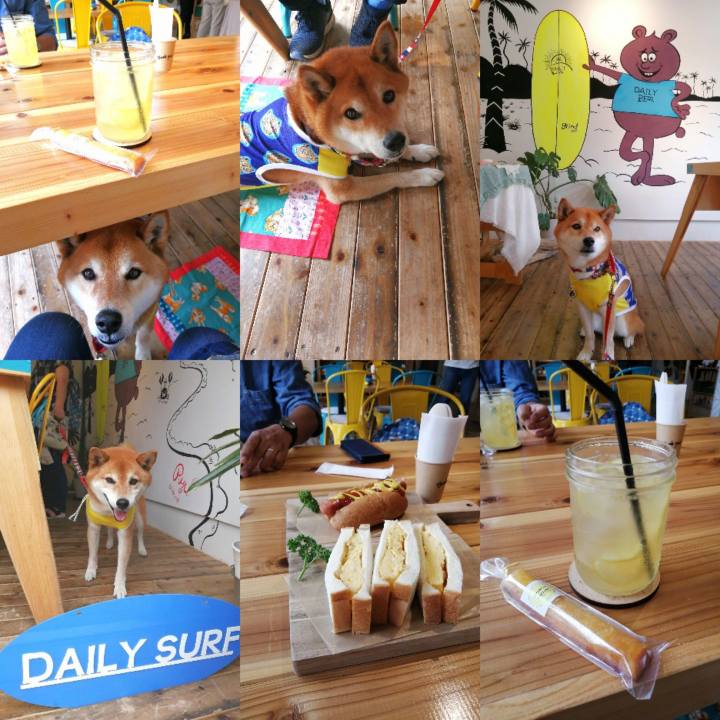 62e387d6 b082 4f0d b18c 9deda2b1ff29 1653038655596