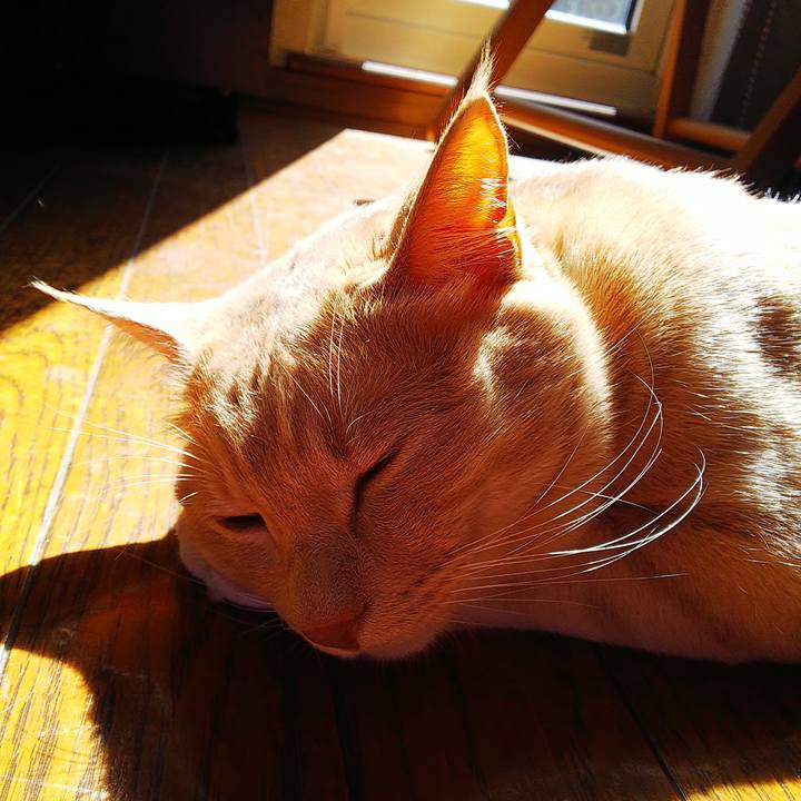 62e3abb7 b75e 4ce8 9d92 756b69eb341c 1588655757832