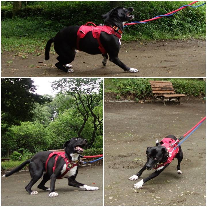 62e3d828 d1c0 4998 9cc3 bce7dc38e178 1593473580106