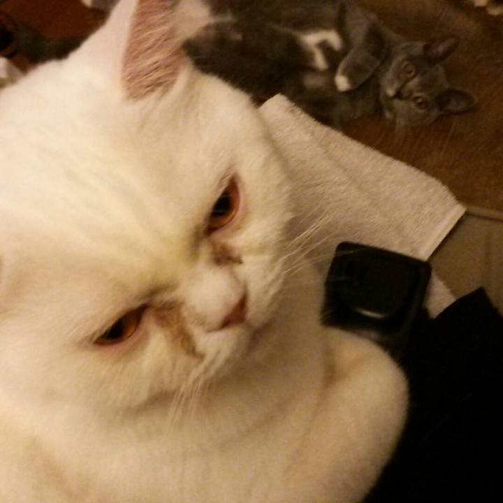 62e3f179 9236 4370 9ccb 53e82a81d063 1537617162836