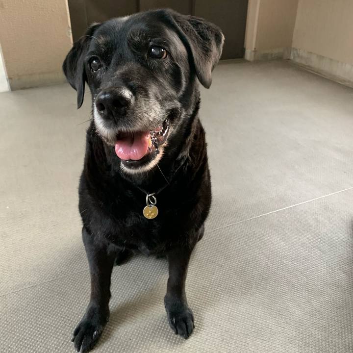 62e41de7 26ff 4911 9209 d8d1234d0b8f 1598910481895