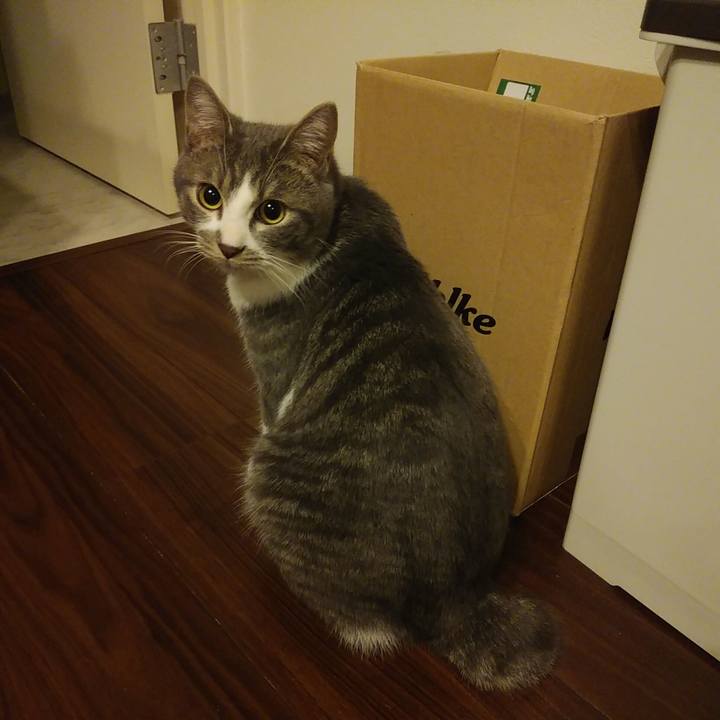 62e445aa c3ca 46a1 8182 539d519abff8 1579098305987