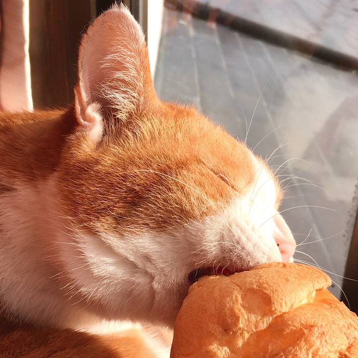 62e46ac4 0096 453d 8b2f eb8370d2dab5 1577867419114