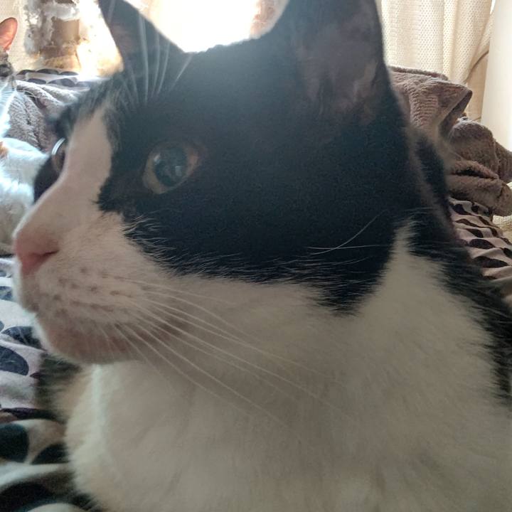 62e47420 6026 4863 a439 c43f85efa65d 1630036491598