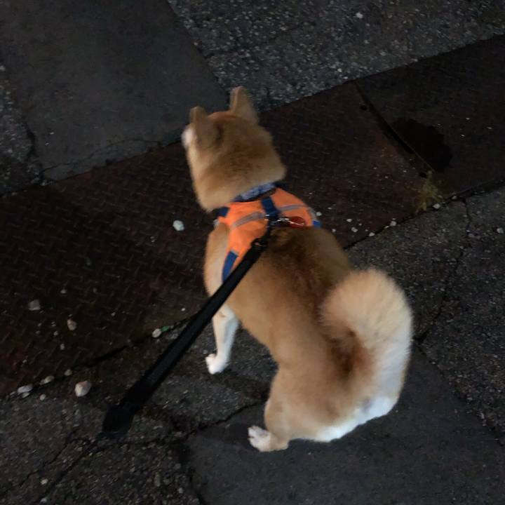 62e483ac 59b2 4098 9a96 b210cde33909 1598595068514