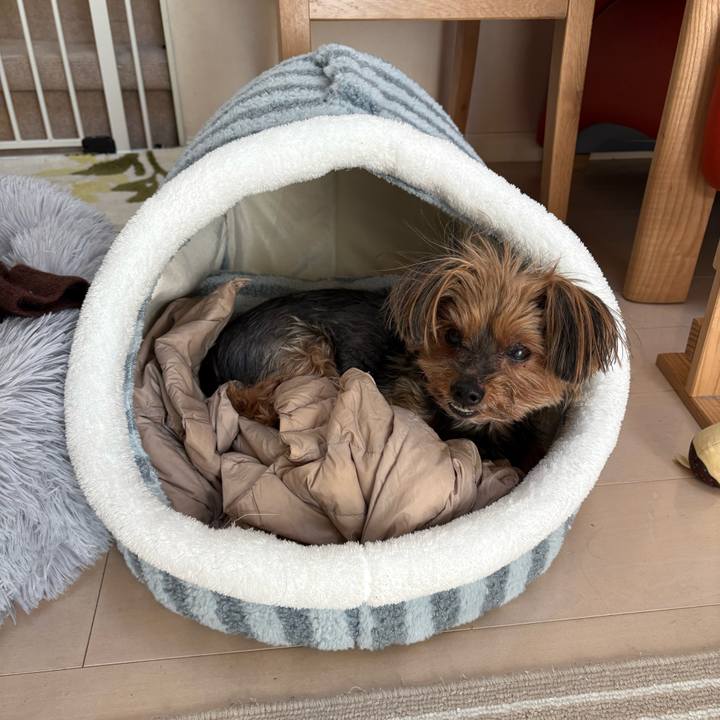 62e4b2f4 0539 433b 86dd 25e1c242b676 1738972762958