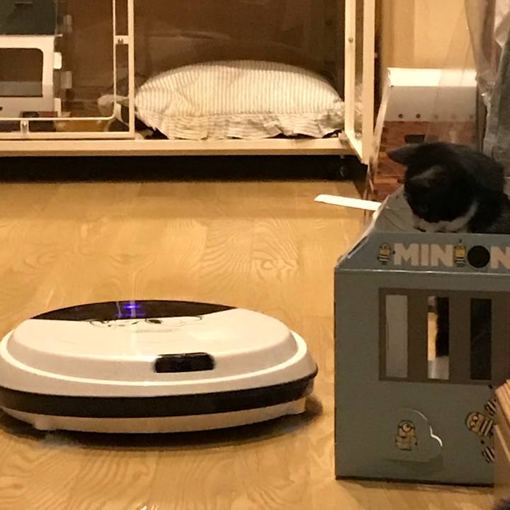 62e4de46 2e3a 44f3 836f cb65704e3749 1508594185706