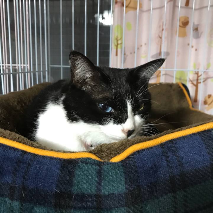 62e4efae 8fe0 432b 8ec6 bcd76a4bd6ff 1540375374477