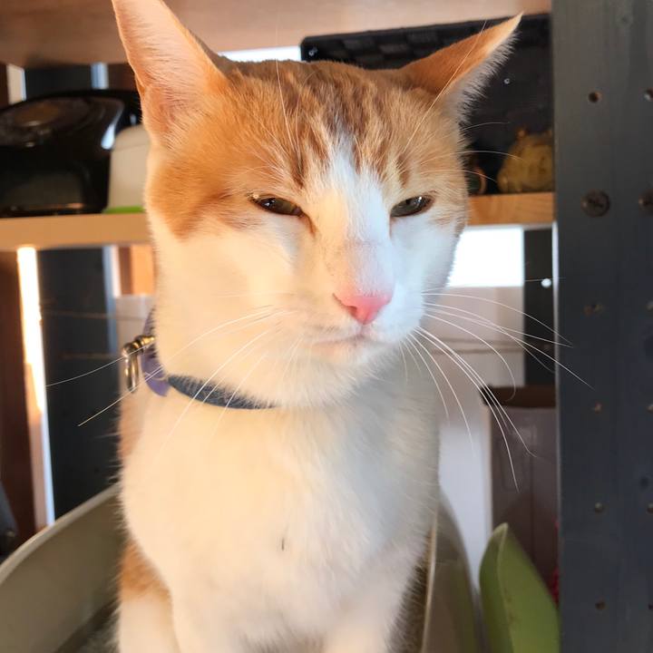 62e50c93 35eb 4186 a5d2 06bb7cd5e3f1 1512098075518