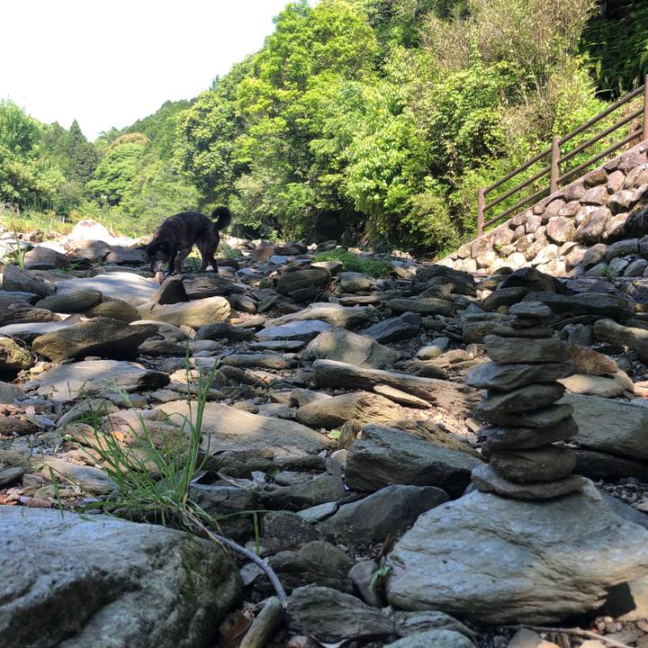 62e51375 817c 4f00 9d11 f3a047e64c8d 1654409245890