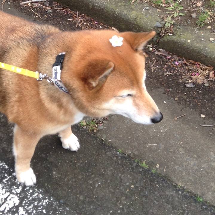 62e51661 2fee 4571 bb15 15e675b10197 1550653765533