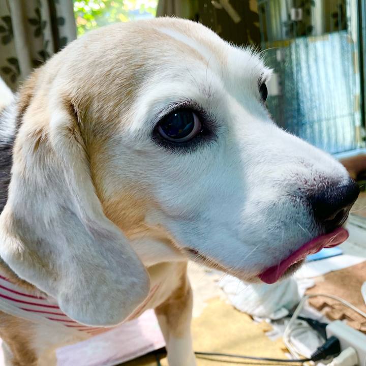 62e520f4 ab63 4c32 b3c7 0bed081ec359 1652844050089