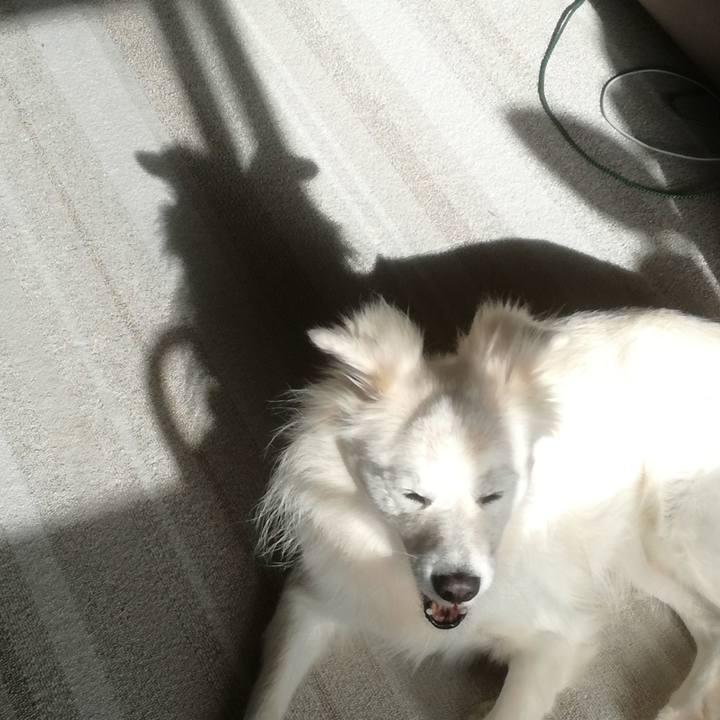 62e522c7 fc6e 4c4c 877d 4773d1021c21 1511488320043