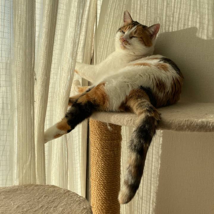 62e52885 fecc 4582 9c1c 139925616843 1608546349066