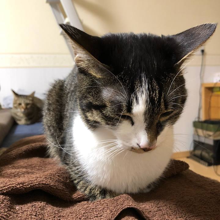 62e57275 22e6 47fe 8e6f 01aad2599b4d 1514583592504