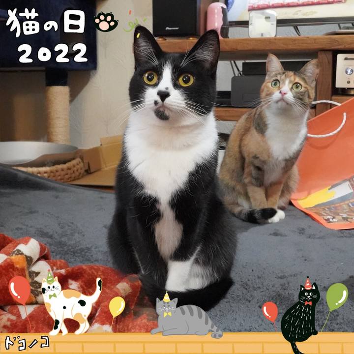 62e59338 0227 4214 83e9 63f59d564c6e 1645538185774