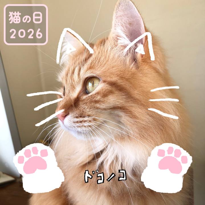 62e59679 354a 49a4 a9c6 b624cd6eb300 1771759015044