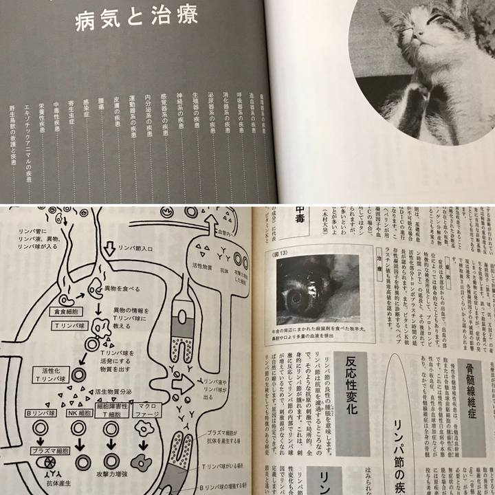 62e59868 274f 4c5f 901f 411b09b5793d 1526002157186