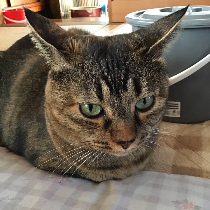 62e5e8bf dcf4 4db3 8804 415a4fba31ea 1729464553934