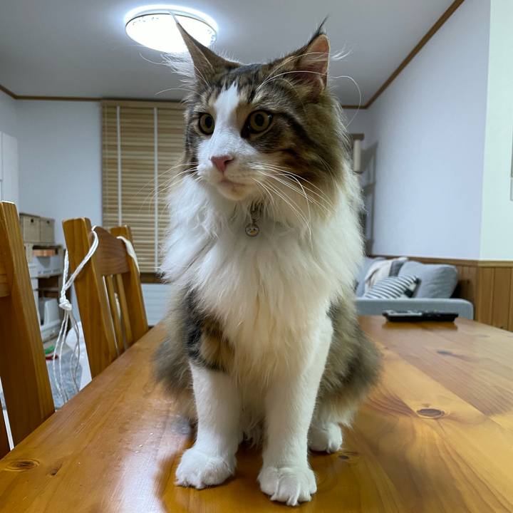 62e5fd71 79c5 480b b824 f4af1063eff1 1642104361735