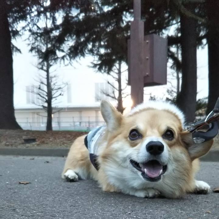 62e60b4e 4883 41e1 9d75 68a708b380a5 1545120521876