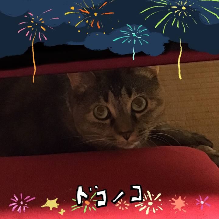 62e610f1 9b98 4870 b234 f636f27ace57 1723204231290