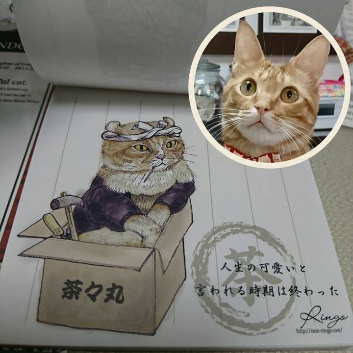 62e61437 f764 437e 9146 05cb29287c8d 1520672913000