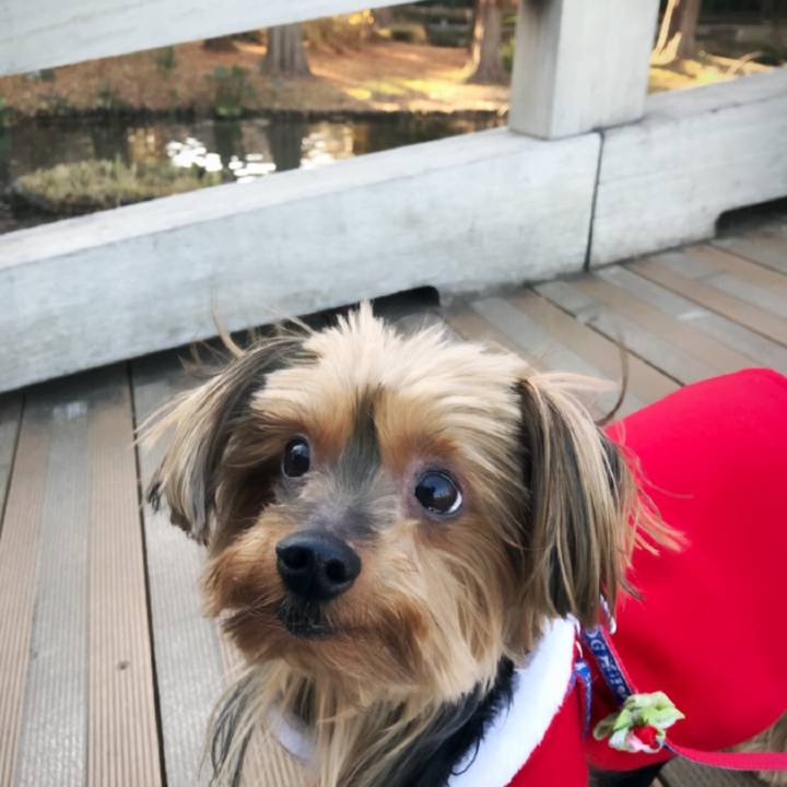 62e63f9e 9231 454a 9026 88614f67a7d1 1512907163025