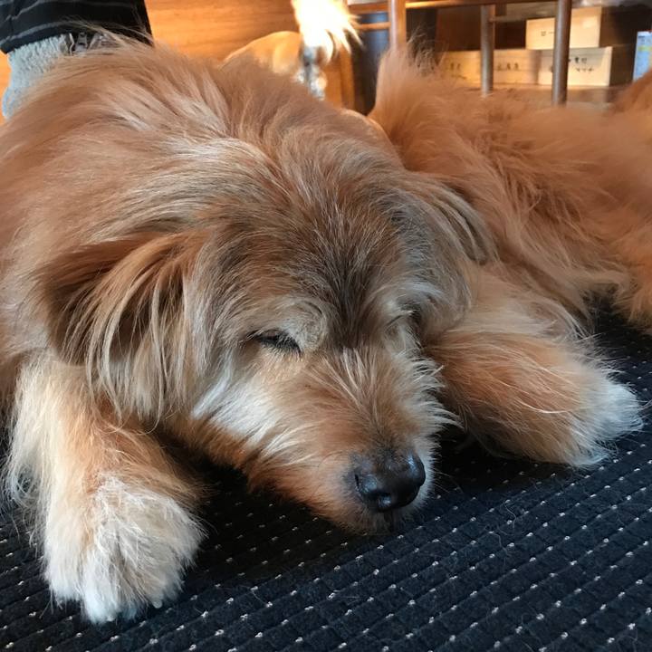 62e64b7f 4db7 474e 847c b3dd76d760dc 1556584532890