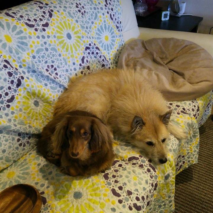 62e658d6 d3b9 407b 9b6c c493942acbcc 1516777450515