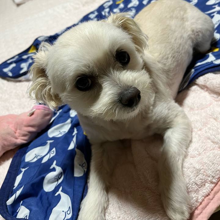 62e67b0d 7b7c 493a 80c6 9e21396b9996 1655810038259