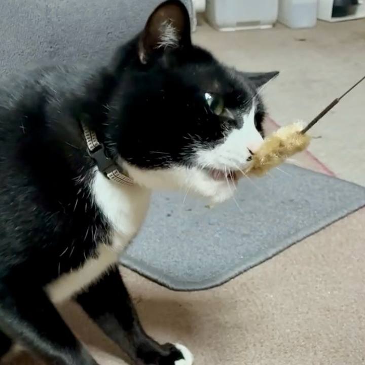 62e67d76 4f14 43e0 a27e 9e4b885f2a53 1765968035548