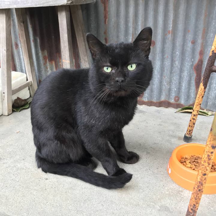 62e692b6 e8a5 450c a8be 04b8733c8431 1508849593506