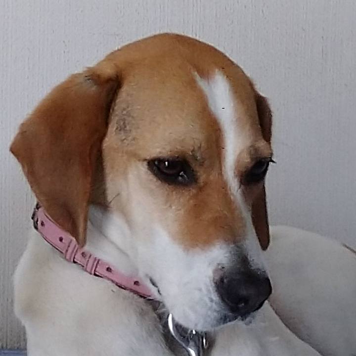 62e698f2 817e 47d5 b556 46d2da40fd77 1592363025001