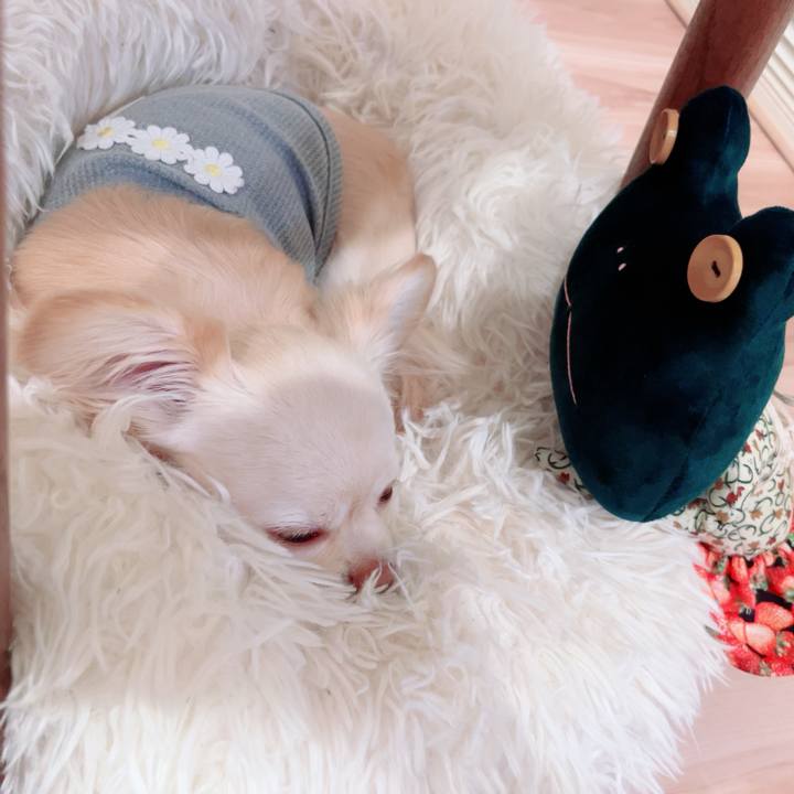 62e6a80b 7fa5 48a7 ad00 19a4c0755bcf 1746092992709