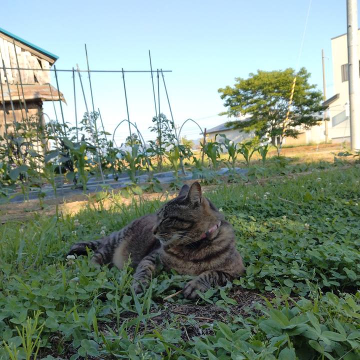 62e6b235 3cc0 4b58 9350 9c14f9e2969a 1718359893016