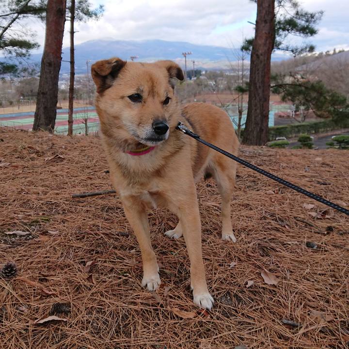 62e6cac1 320d 409a 8987 a3a64778e2e4 1607591396405