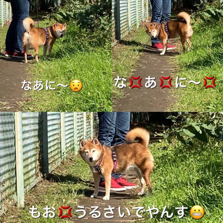 62e6fc2c 9e69 437b a461 d7c70f8bd8b3 1635047323059