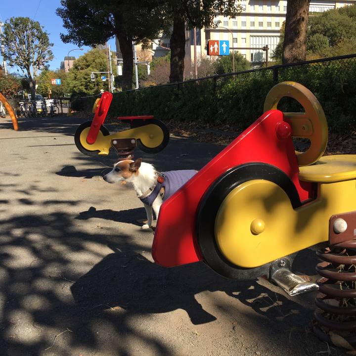 62e6fcf2 e75e 4b17 930c c0320580d331 1606260335112